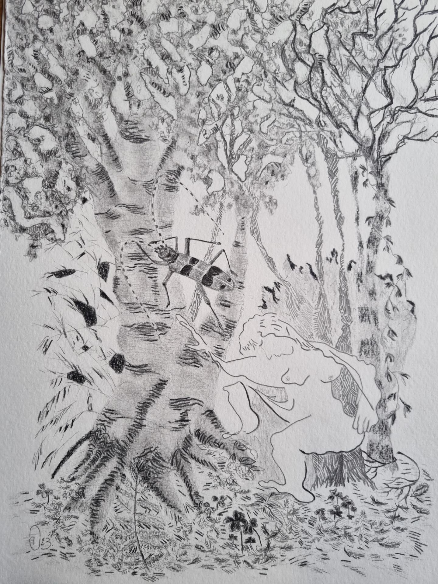 2024 dessins utopie en vie 2025 01 23 026